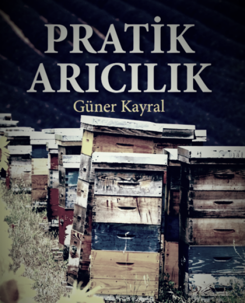 Pratik Arıcılık Kitabı